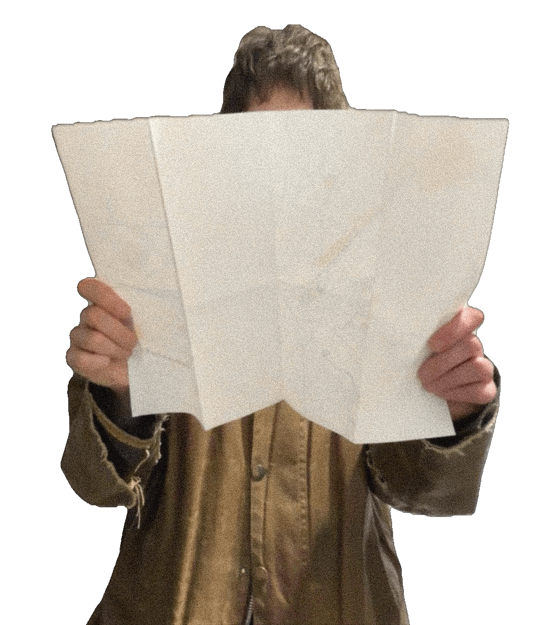 Person looking at a map